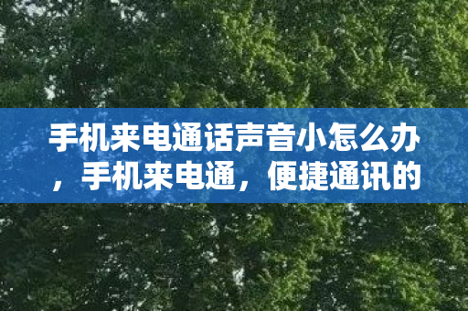 手机来电通话声音小怎么办,手机来电通,便捷通讯的新选择 手机来电通话声音小怎么办,手机来电通,便捷通讯的新选择