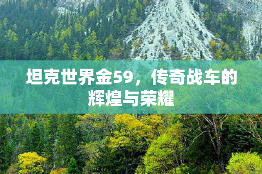 坦克世界金59,传奇战车的辉煌与荣耀 坦克世界金59,传奇战车的辉煌与荣耀