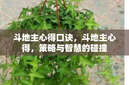 斗地主心得口诀,斗地主心得,策略与智慧的碰撞 斗地主心得口诀,斗地主心得,策略与智慧的碰撞