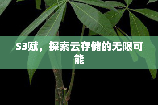 S3赋,探索云存储的无限可能 S3赋,探索云存储的无限可能