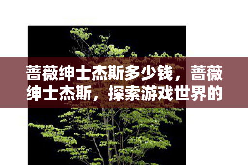 蔷薇绅士杰斯多少钱,蔷薇绅士杰斯,探索游戏世界的独特魅力 蔷薇绅士杰斯多少钱,蔷薇绅士杰斯,探索游戏世界的独特魅力