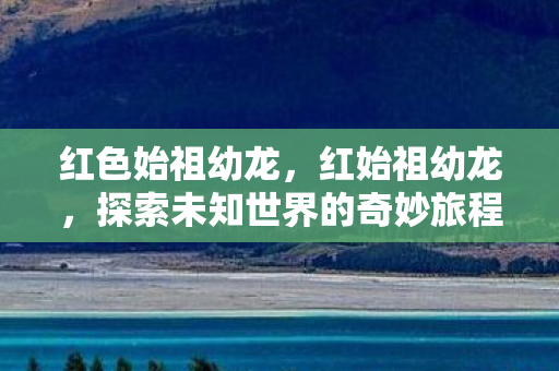 红色始祖幼龙，红始祖幼龙，探索未知世界的奇妙旅程