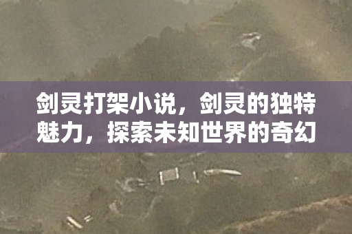剑灵打架小说,剑灵的独特魅力,探索未知世界的奇幻之旅 剑灵打架小说,剑灵的独特魅力,探索未知世界的奇幻之旅
