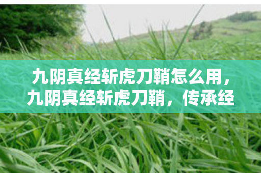 九阴真经斩虎刀鞘怎么用，九阴真经斩虎刀鞘，传承经典，匠心独运