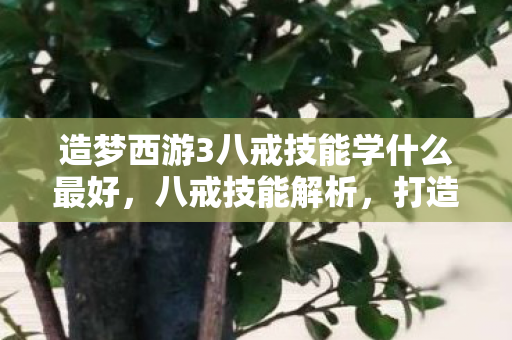 造梦西游3八戒技能学什么最好,八戒技能解析,打造造梦西游3中的肉盾强者 造梦西游3八戒技能学什么最好,八戒技能解析,打造造梦西游3中的肉盾强者