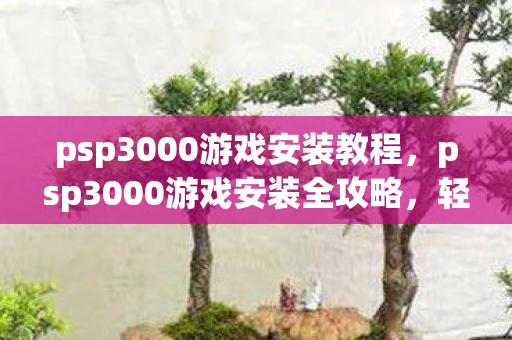 psp3000游戏安装教程,psp3000游戏安装全攻略,轻松玩转经典游戏 psp3000游戏安装教程,psp3000游戏安装全攻略,轻松玩转经典游戏