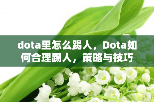 dota里怎么踢人,Dota如何合理踢人,策略与技巧 dota里怎么踢人,Dota如何合理踢人,策略与技巧