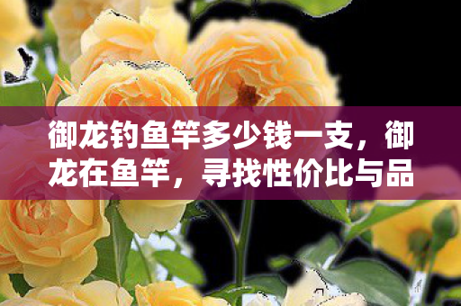 御龙钓鱼竿多少钱一支,御龙在鱼竿,寻找性价比与品质并重的购买渠道 御龙钓鱼竿多少钱一支,御龙在鱼竿,寻找性价比与品质并重的购买渠道