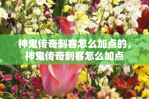 神鬼传奇刺客怎么加点的,神鬼传奇刺客怎么加点 神鬼传奇刺客怎么加点的,神鬼传奇刺客怎么加点