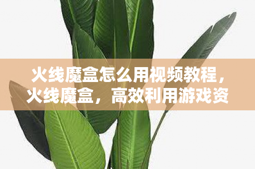 火线魔盒怎么用视频教程,火线魔盒,高效利用游戏资源,打造个性化游戏体验 火线魔盒怎么用视频教程,火线魔盒,高效利用游戏资源,打造个性化游戏体验