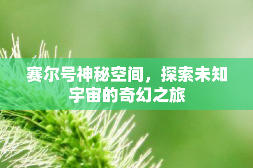 赛尔号神秘空间,探索未知宇宙的奇幻之旅 赛尔号神秘空间,探索未知宇宙的奇幻之旅