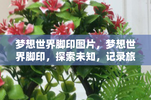 梦想世界脚印图片,梦想世界脚印,探索未知,记录旅程 梦想世界脚印图片,梦想世界脚印,探索未知,记录旅程