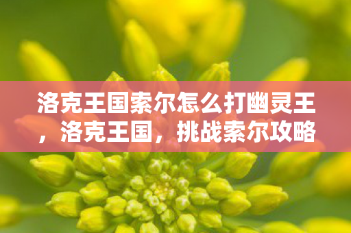 洛克王国索尔怎么打幽灵王，洛克王国，挑战索尔攻略