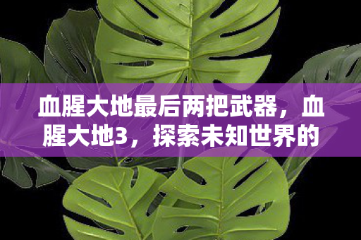 血腥大地最后两把武器，血腥大地3，探索未知世界的冒险之旅