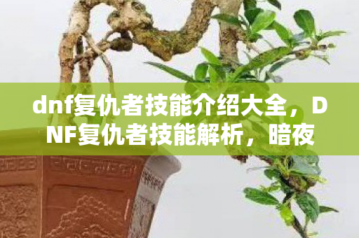 dnf复仇者技能介绍大全，DNF复仇者技能解析，暗夜中的复仇火焰