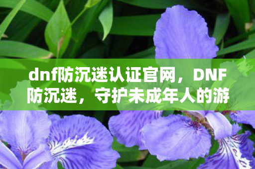 dnf防沉迷认证官网，DNF防沉迷，守护未成年人的游戏健康