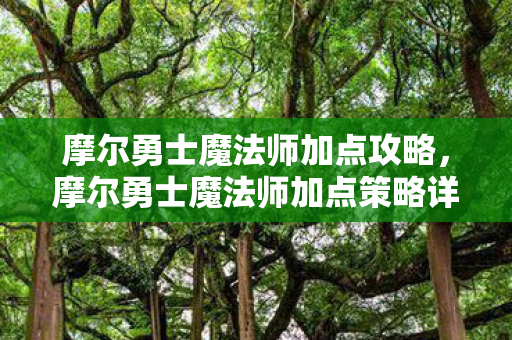 摩尔勇士魔法师加点攻略,摩尔勇士魔法师加点策略详解 摩尔勇士魔法师加点攻略,摩尔勇士魔法师加点策略详解