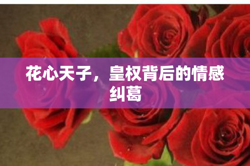 花心天子,皇权背后的情感纠葛 花心天子,皇权背后的情感纠葛