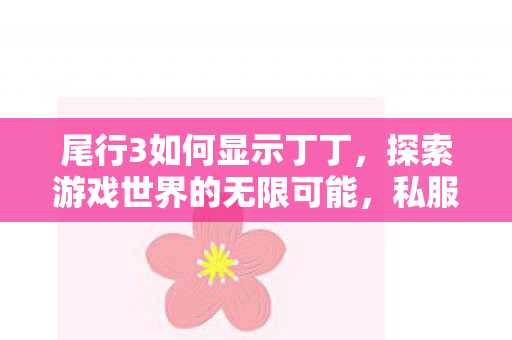 尾行3如何显示丁丁,探索游戏世界的无限可能,私服与官方服务器的独特魅力对比 尾行3如何显示丁丁,探索游戏世界的无限可能,私服与官方服务器的独特魅力对比