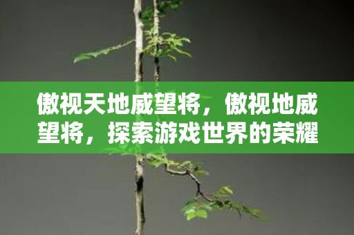 傲视天地威望将,傲视地威望将,探索游戏世界的荣耀与辉煌 傲视天地威望将,傲视地威望将,探索游戏世界的荣耀与辉煌