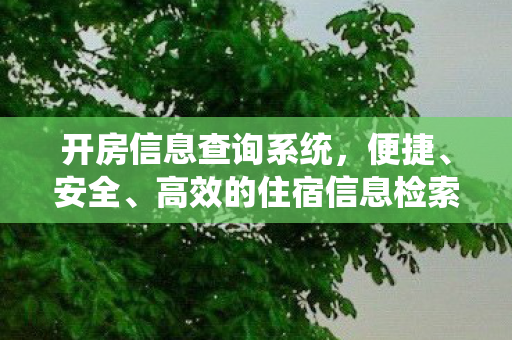 开房信息查询系统,便捷、安全、高效的住宿信息检索工具 开房信息查询系统,便捷、安全、高效的住宿信息检索工具