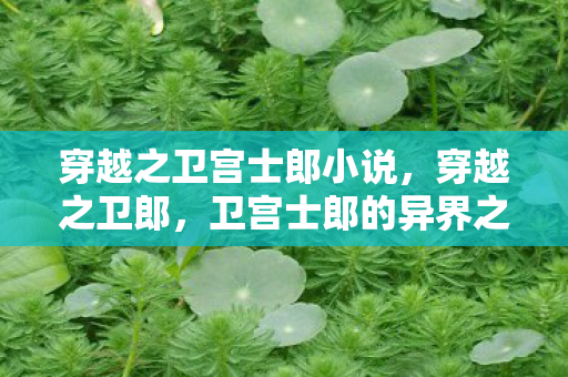 穿越之卫宫士郎小说，穿越之卫郎，卫宫士郎的异界之旅