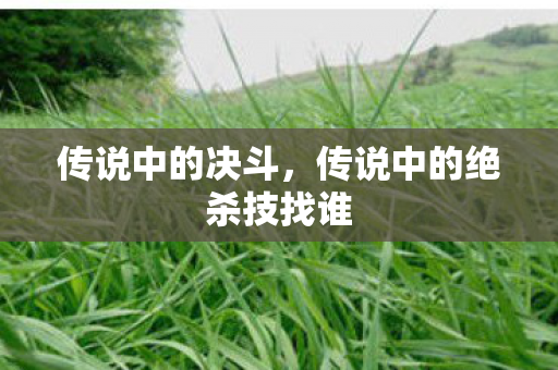 传说中的决斗，传说中的绝杀技找谁