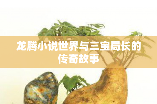 龙腾小说世界与三宝局长的传奇故事 龙腾小说世界与三宝局长的传奇故事
