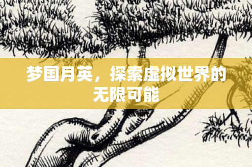 梦国月英，探索虚拟世界的无限可能