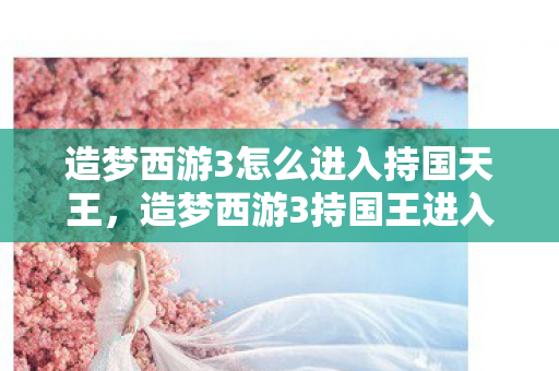 造梦西游3怎么进入持国天王，造梦西游3持国王进入方法详解