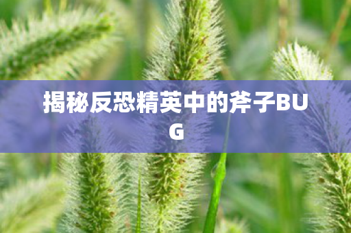 揭秘反恐精英中的斧子BUG 揭秘反恐精英中的斧子BUG