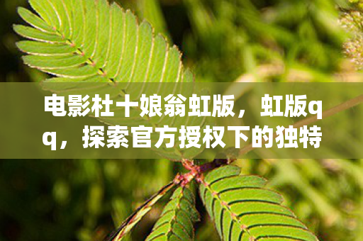 电影杜十娘翁虹版,虹版qq,探索官方授权下的独特体验 电影杜十娘翁虹版,虹版qq,探索官方授权下的独特体验