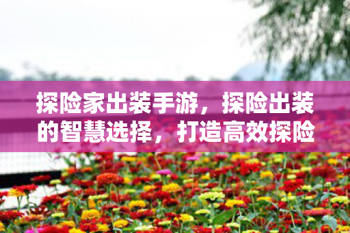 探险家出装手游，探险出装的智慧选择，打造高效探险之旅