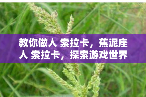 教你做人 索拉卡，蕉泥座人 索拉卡，探索游戏世界的独特魅力