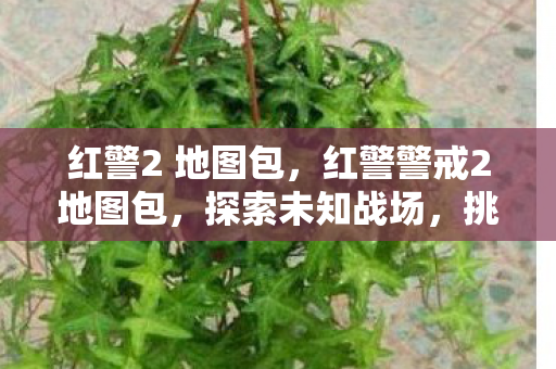 红警2 地图包,红警警戒2地图包,探索未知战场,挑战无限可能 红警2 地图包,红警警戒2地图包,探索未知战场,挑战无限可能
