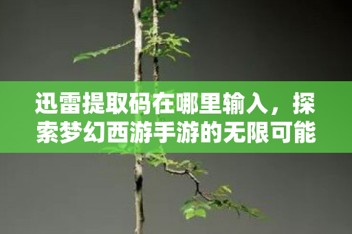 迅雷提取码在哪里输入,探索梦幻西游手游的无限可能,从官方到私服的深度解析 迅雷提取码在哪里输入,探索梦幻西游手游的无限可能,从官方到私服的深度解析