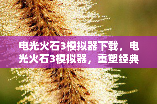 电光火石3模拟器下载,电光火石3模拟器,重塑经典游戏体验的利器 电光火石3模拟器下载,电光火石3模拟器,重塑经典游戏体验的利器