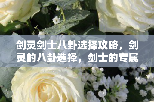 剑灵剑士八卦选择攻略,剑灵的八卦选择,剑士的专属智慧 剑灵剑士八卦选择攻略,剑灵的八卦选择,剑士的专属智慧