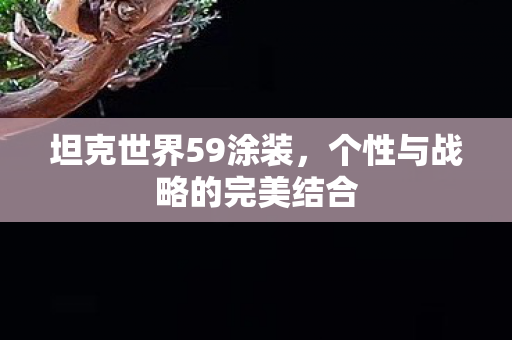 坦克世界59涂装,个性与战略的完美结合 坦克世界59涂装,个性与战略的完美结合