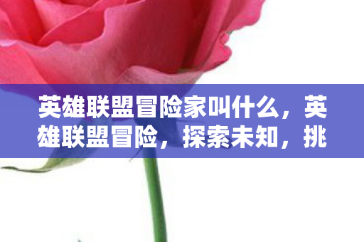 英雄联盟冒险家叫什么,英雄联盟冒险,探索未知,挑战极限 英雄联盟冒险家叫什么,英雄联盟冒险,探索未知,挑战极限