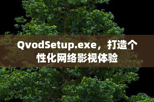 QvodSetup.exe,打造个性化网络影视体验 QvodSetup.exe,打造个性化网络影视体验