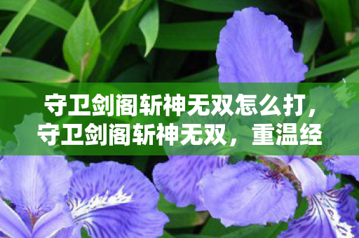 守卫剑阁斩神无双怎么打,守卫剑阁斩神无双,重温经典,感受无双割草的快感 守卫剑阁斩神无双怎么打,守卫剑阁斩神无双,重温经典,感受无双割草的快感