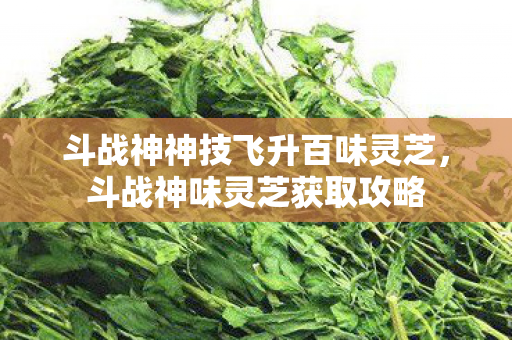 斗战神神技飞升百味灵芝,斗战神味灵芝获取攻略 斗战神神技飞升百味灵芝,斗战神味灵芝获取攻略