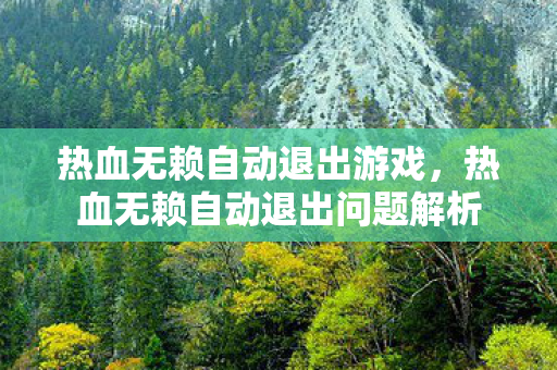 热血无赖自动退出游戏,热血无赖自动退出问题解析 热血无赖自动退出游戏,热血无赖自动退出问题解析