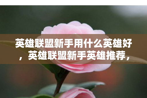 英雄联盟新手用什么英雄好,英雄联盟新手英雄推荐,简单易上手,助你快速入门 英雄联盟新手用什么英雄好,英雄联盟新手英雄推荐,简单易上手,助你快速入门