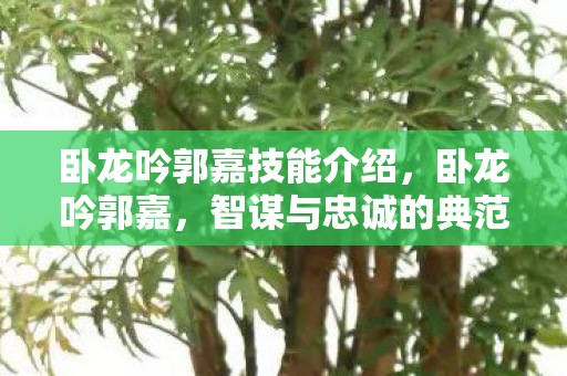 卧龙吟郭嘉技能介绍,卧龙吟郭嘉,智谋与忠诚的典范 卧龙吟郭嘉技能介绍,卧龙吟郭嘉,智谋与忠诚的典范