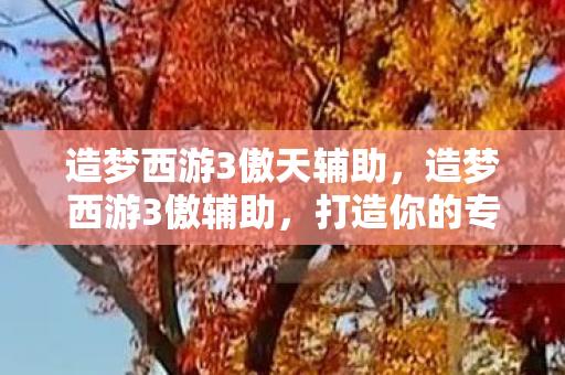 造梦西游3傲天辅助,造梦西游3傲辅助,打造你的专属游戏神器 造梦西游3傲天辅助,造梦西游3傲辅助,打造你的专属游戏神器