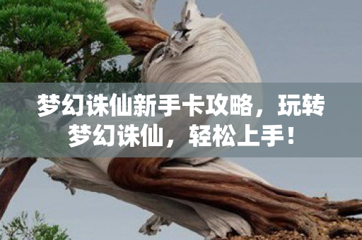 梦幻诛仙新手卡攻略,玩转梦幻诛仙,轻松上手! 梦幻诛仙新手卡攻略,玩转梦幻诛仙,轻松上手!