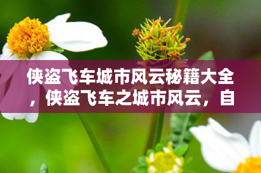 侠盗飞车城市风云秘籍大全，侠盗飞车之城市风云，自由与正义的边界