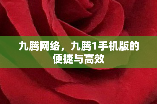 九腾网络，九腾1手机版的便捷与高效